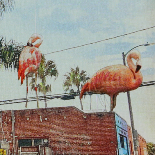 Anil Mistry - Electric Avenue