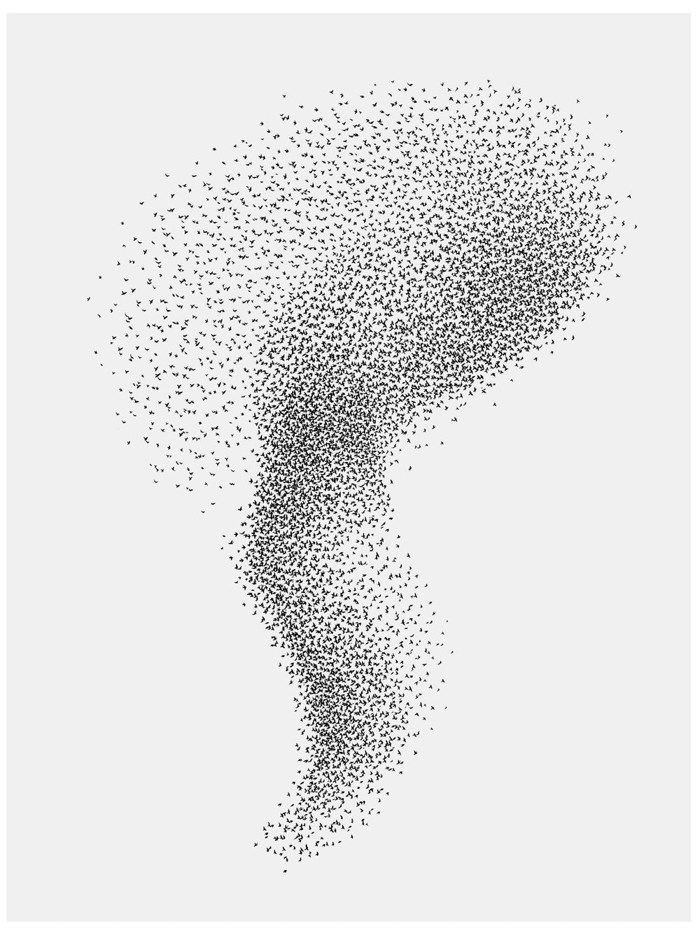 Tim Robertson - A Descant Rises
