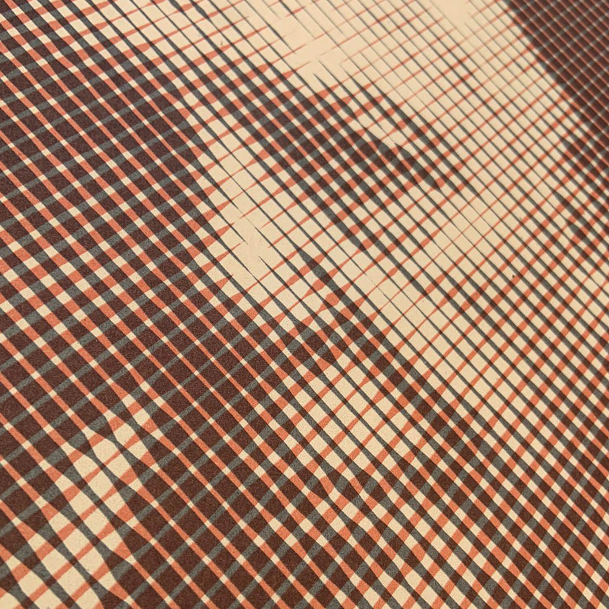 Le Squin - Sir David
