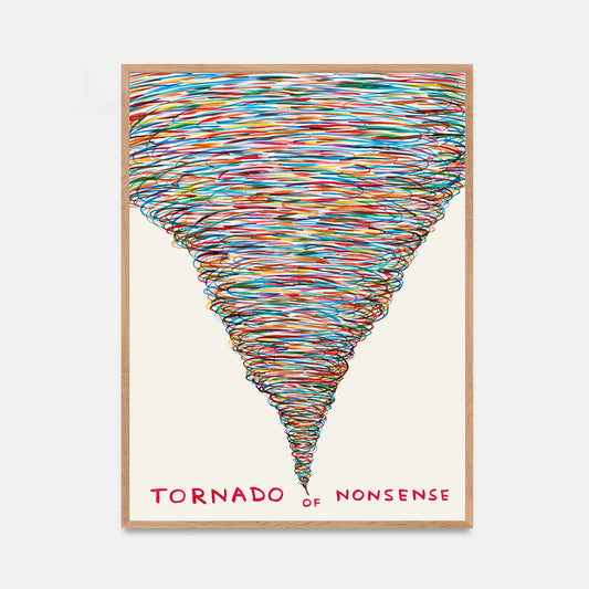 David Shrigley - Tornado Of Nonsense