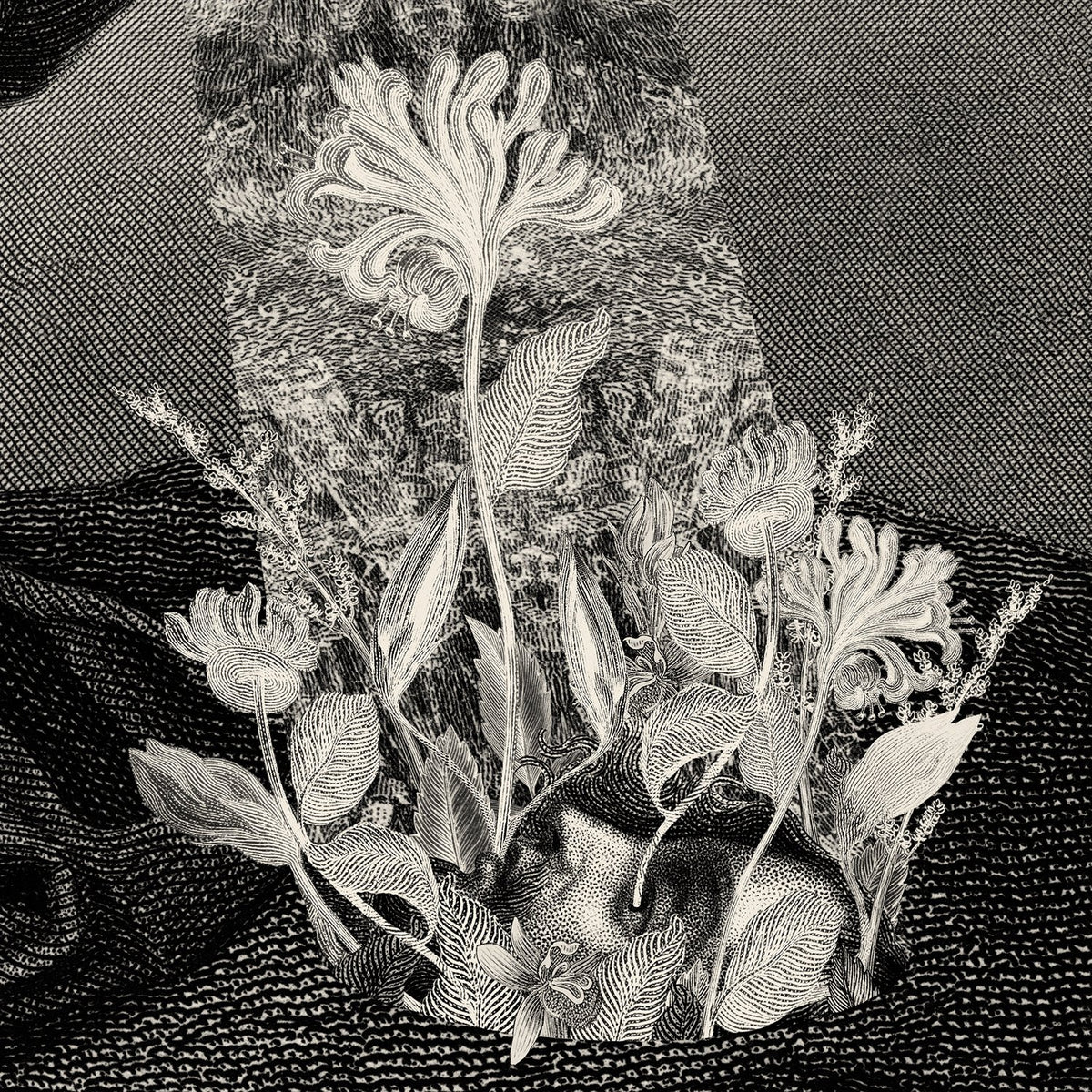 Dan Hillier - Ground