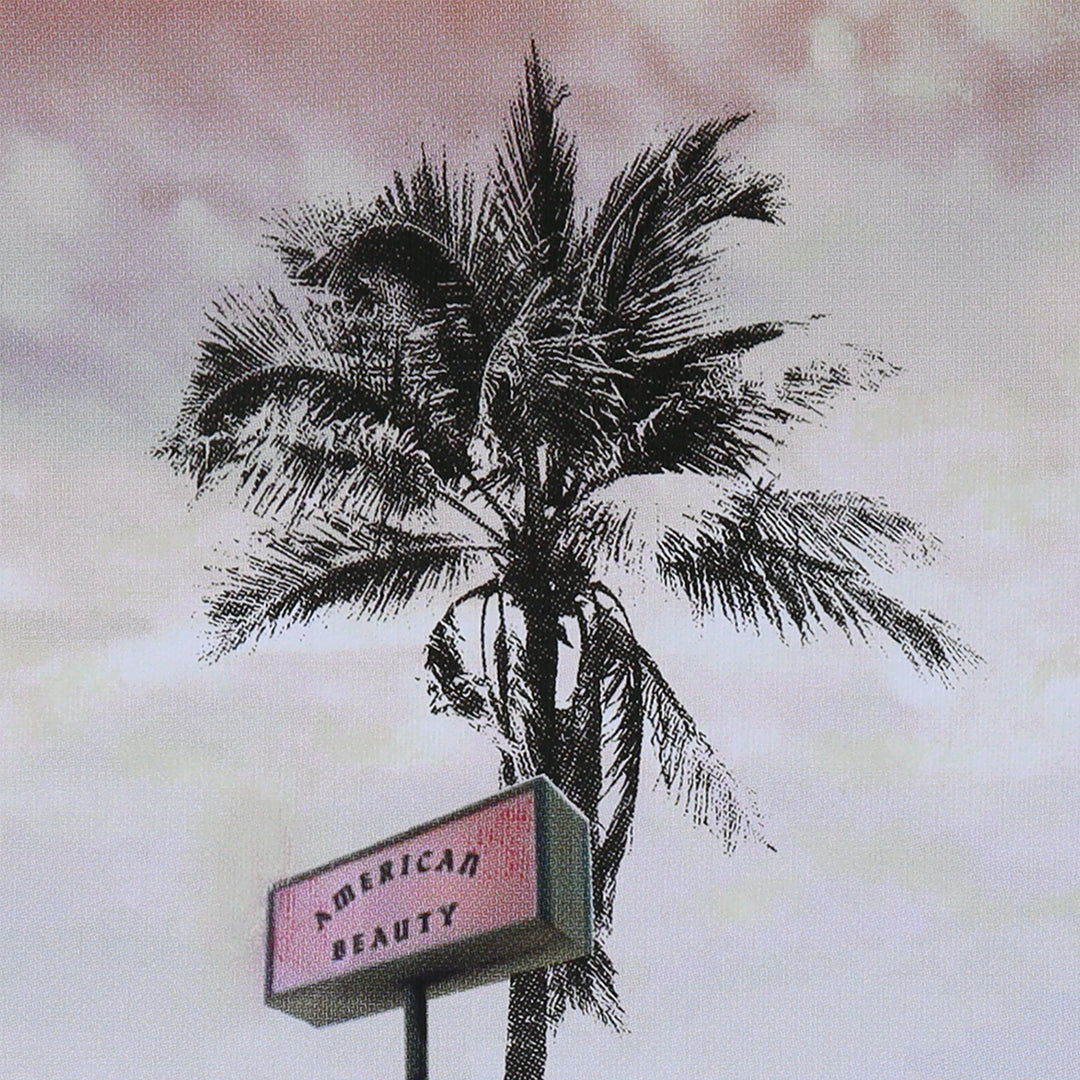 Anil Mistry - American Beauty