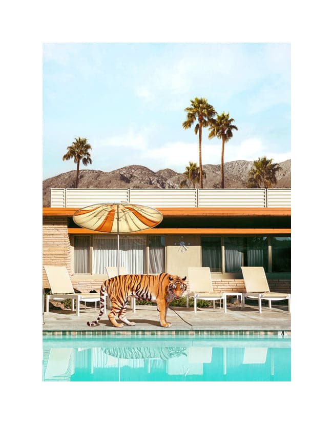 
                
                    Load image into Gallery viewer, Paul Fuentes - Pool Party Tiger
                
            