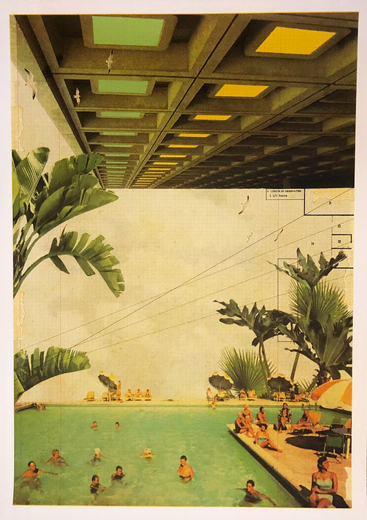 Maxine Gregson -  Tropical Swim