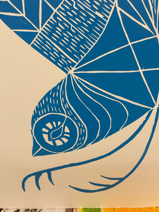 John Peddar - Blue Jayp