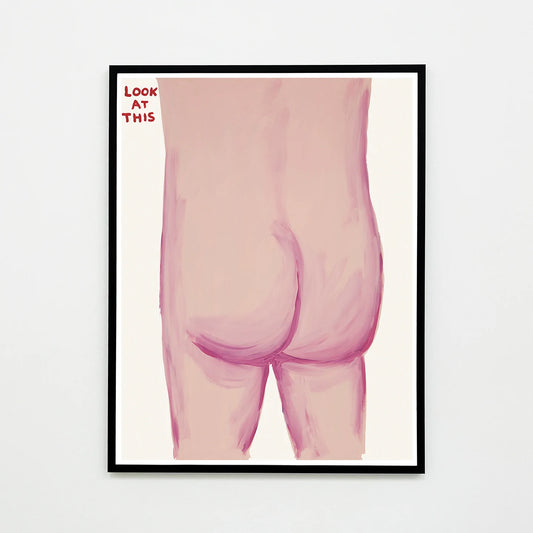 David Shrigley - Look At This