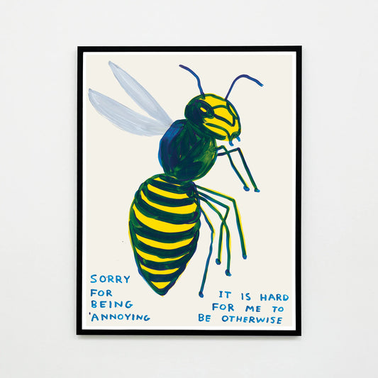David Shrigley - Sorry For Being Annoying