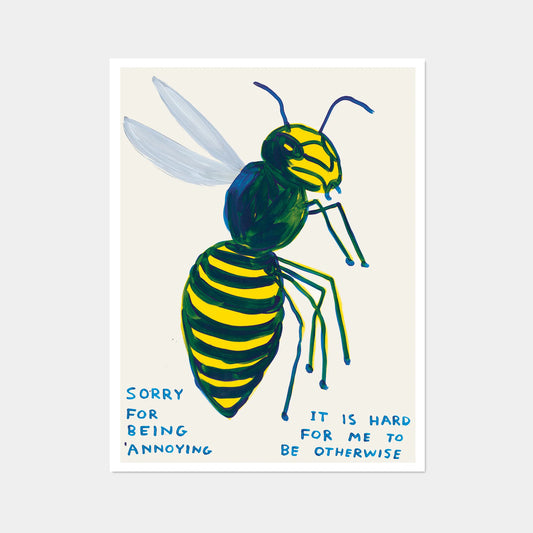 David Shrigley - Sorry For Being Annoying