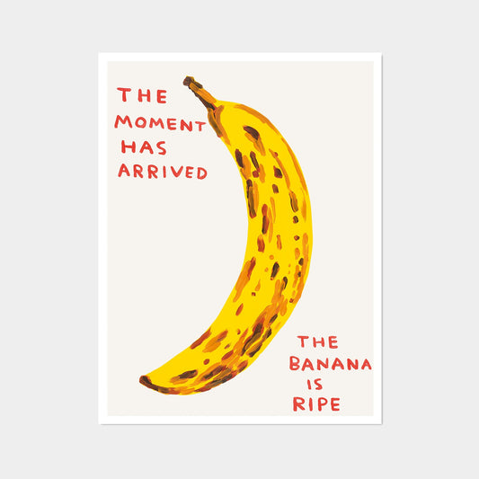 David Shrigley - The moment has arrived