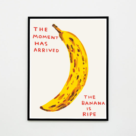 David Shrigley - The moment has arrived