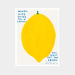 David Shrigley - Lemons