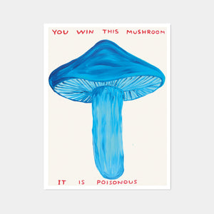 David Shrigley - Mushrooms