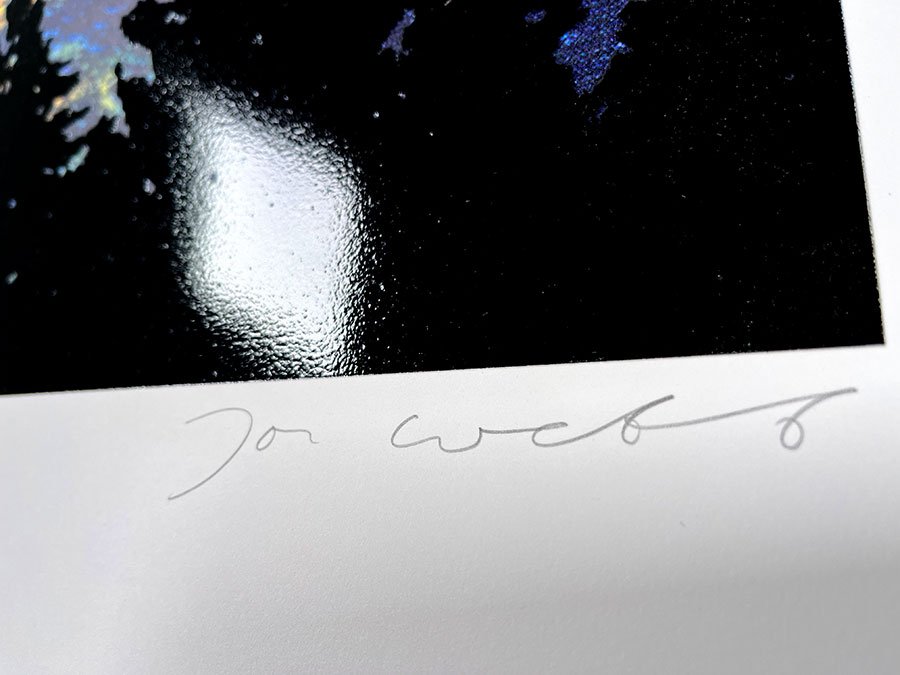Joe Webb - Shine On