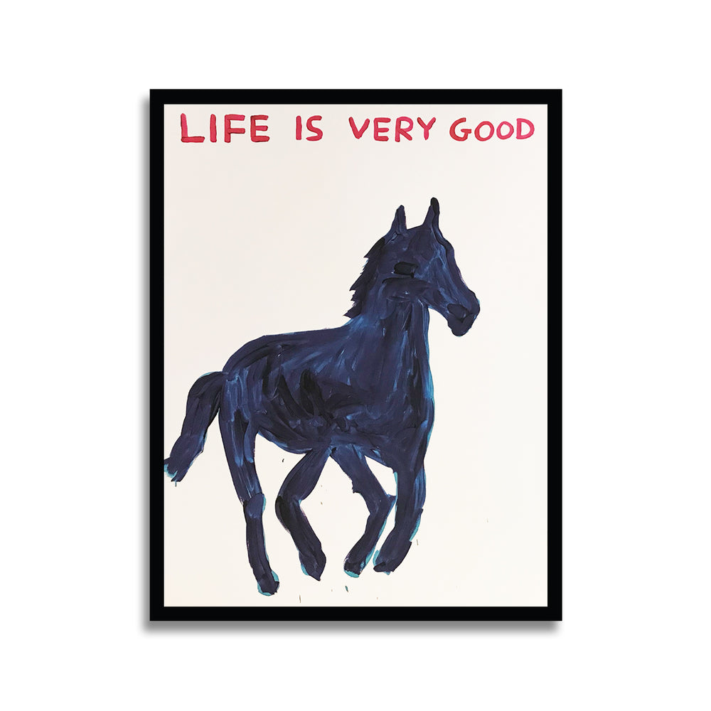 
                
                    Load image into Gallery viewer, David Shrigley - Life Is Good
                
            
