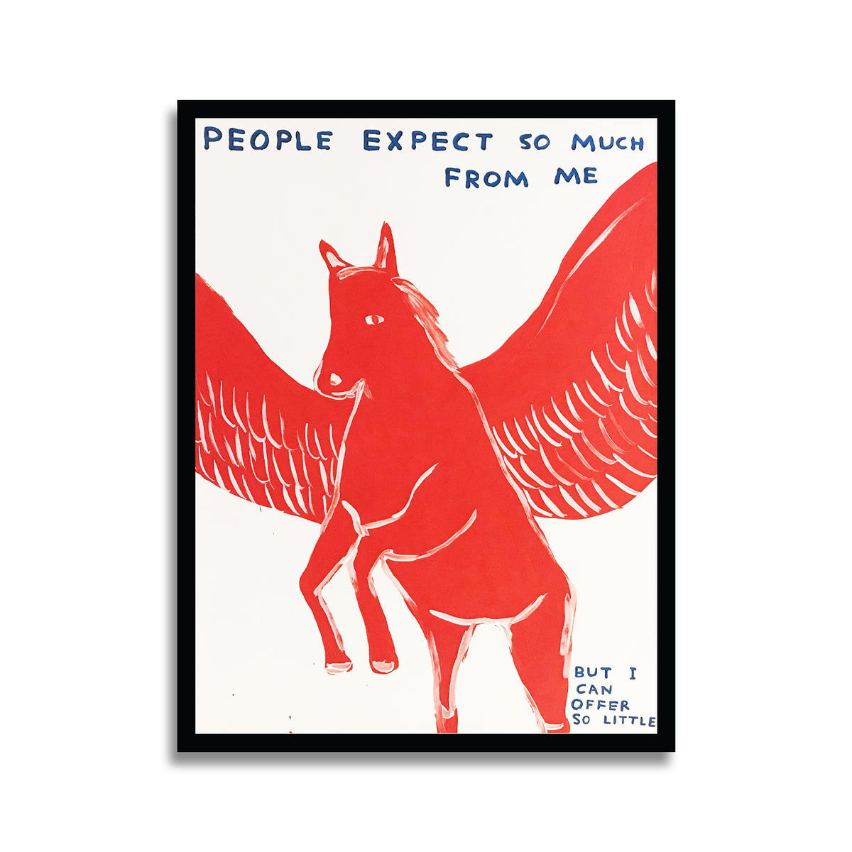 David Shrigley - People Expect Too Much Of Me