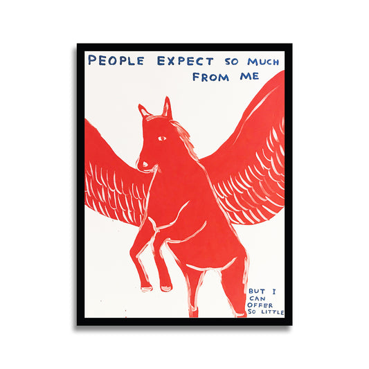 David Shrigley - People Expect Too Much Of Me