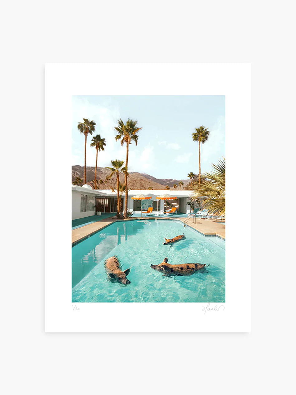 Paul Fuentes - Pig Pool Party Large