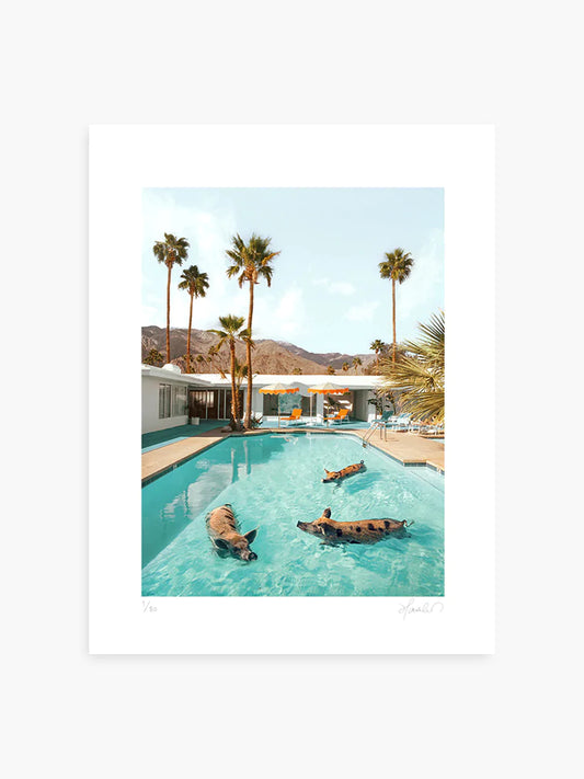 Paul Fuentes - Pig Pool Party Large
