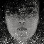 Dan Hillier - Shades of Living Light