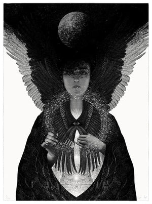 Dan Hillier - Shades of Living Light