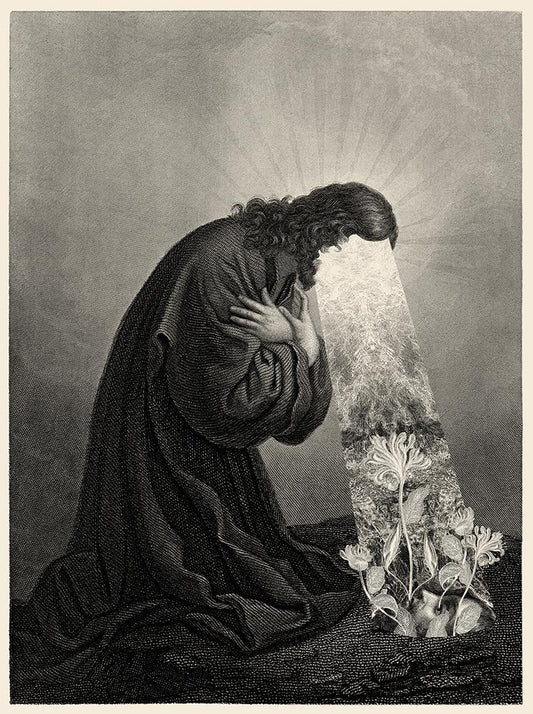 Dan Hillier - Ground