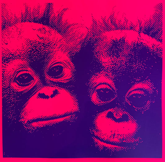 Le Squin - Los Hermanos